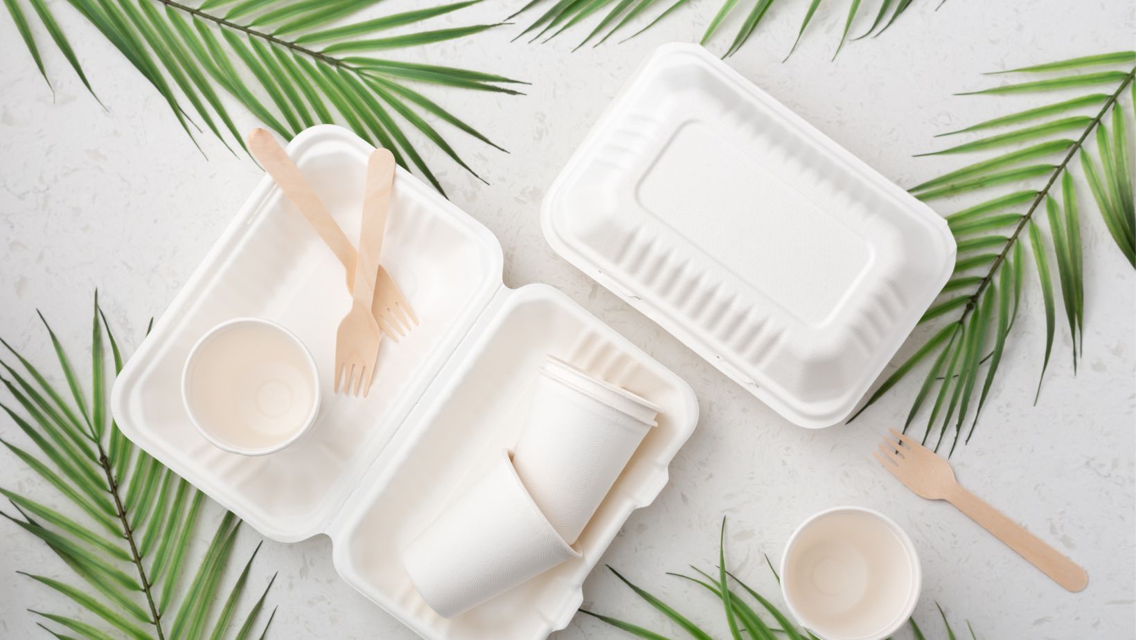 Why Cornstarch Packaging Is Beneficial To Your Business - PakFactory Blog