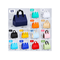 DISPOSABLE THERMAL BAG (VARIOUS COLORS AND SIZES AVAILABLE) 1-1.5 WEEKS LEAD TIME