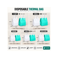 DISPOSABLE THERMAL BAG (VARIOUS COLORS AND SIZES AVAILABLE) 1-1.5 WEEKS LEAD TIME